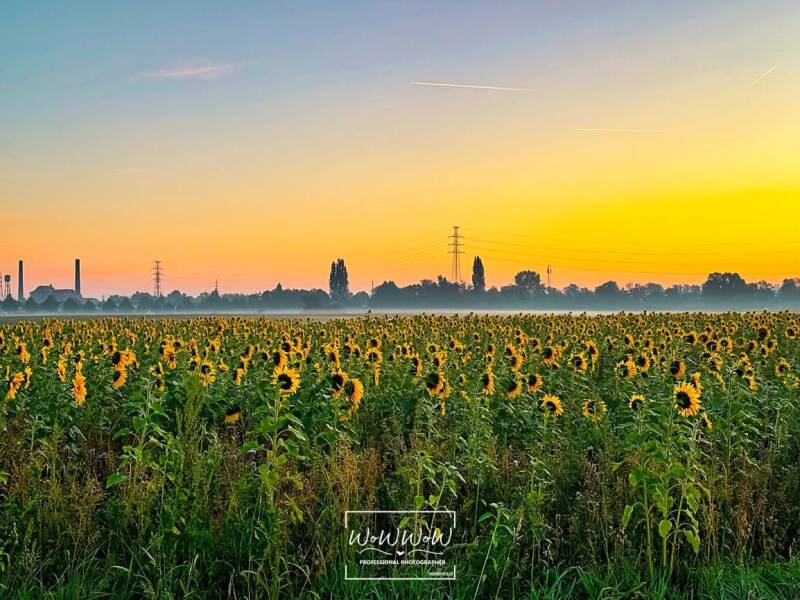 Ochtend in Zwevegem door fotograaf Promofoto WoWWoW