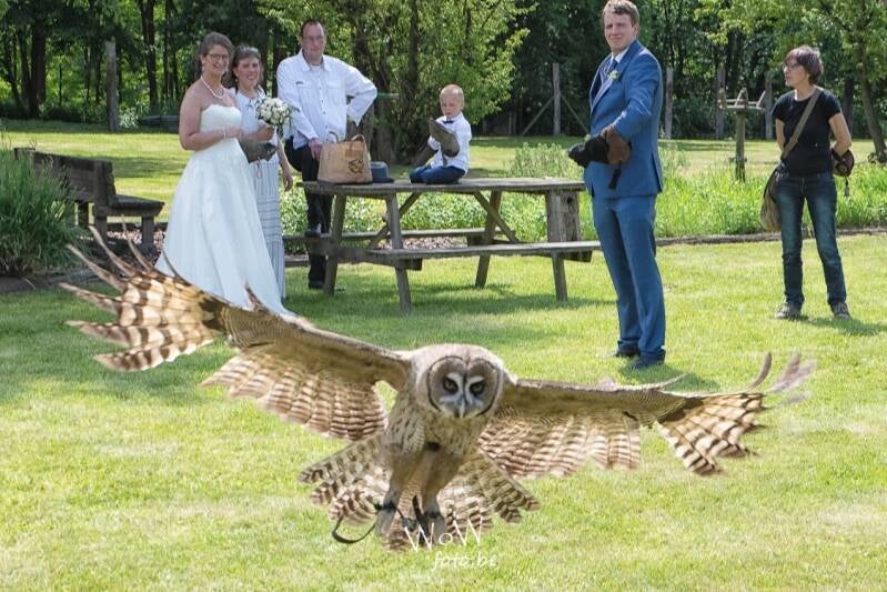 foto's die blijven spreken fotograaf Zwevegem Promofoto WoWWoW