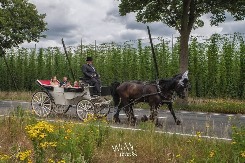 huwelijksfotograaf in Poperinge door Promofoto WoWWoW