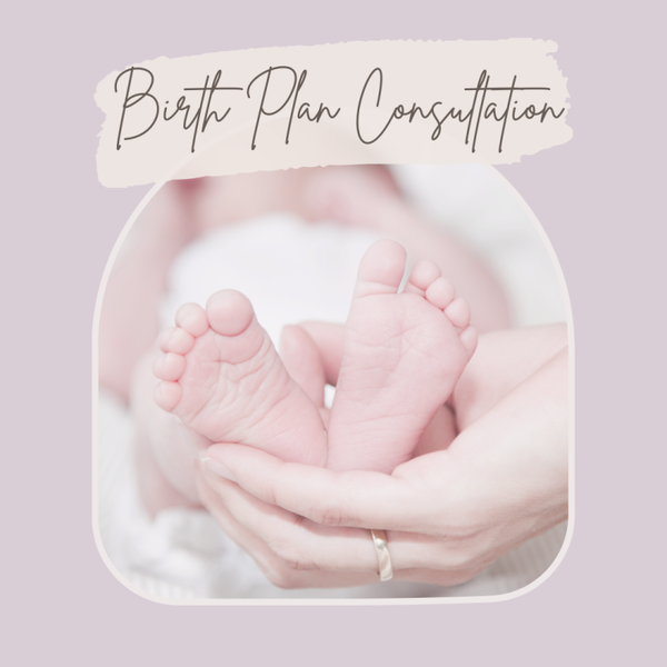Birth Plan Consultation