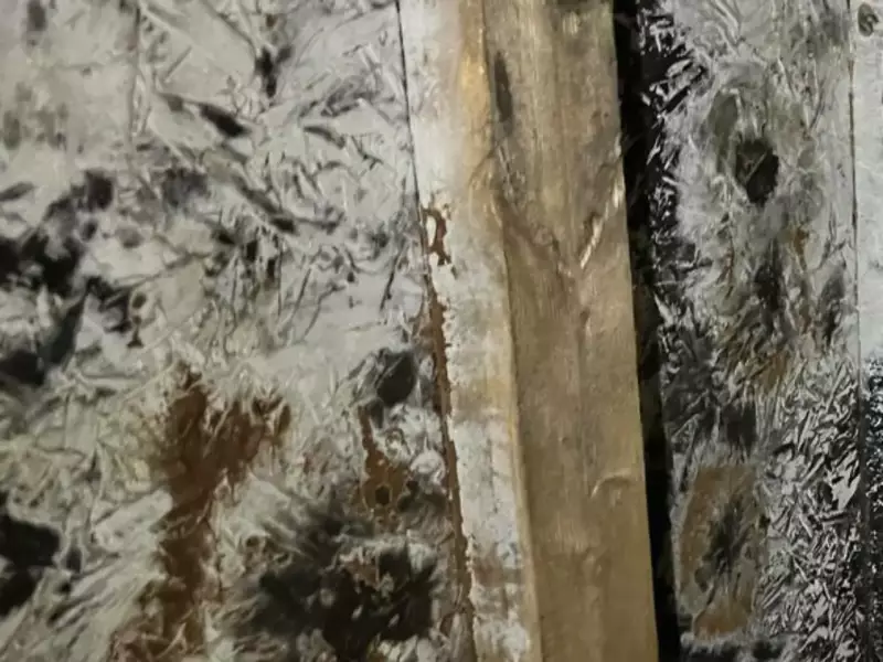 Décontamination de moisissure dans un vide sanitaire 