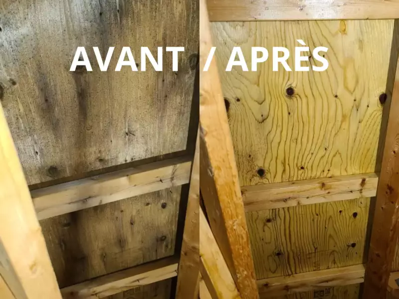 Avant, après d'un traitement de moisissure entretoit grenier 