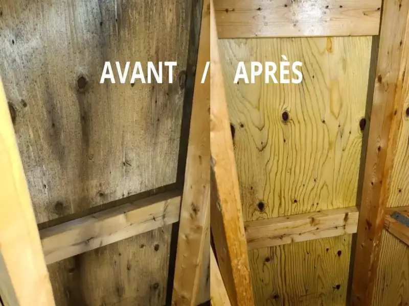 Décontamination de Moisissure d'un Entretoit,  Grenier 