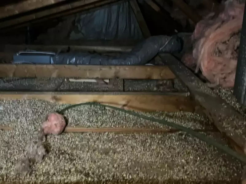 Retrait de Vermiculite Amiantée Entretoit de Maison 