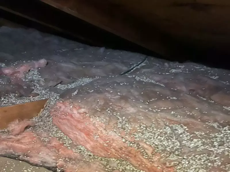 Retrait de Vermiculite Entretoit Grenier de Maison 