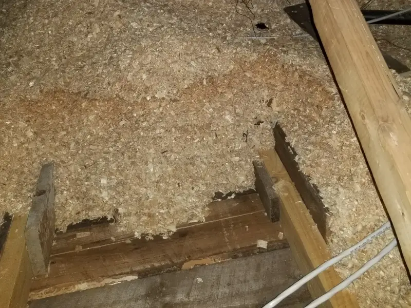 Enlèvement de bran de scie d'un grenier entretoit 