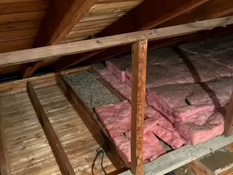 Une décontamination de vermiculite grenier entretoit 