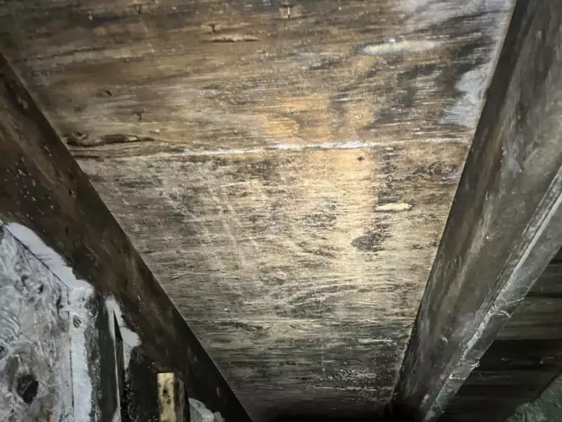 decontamination-de-moisissure-a-rouyn-noranda