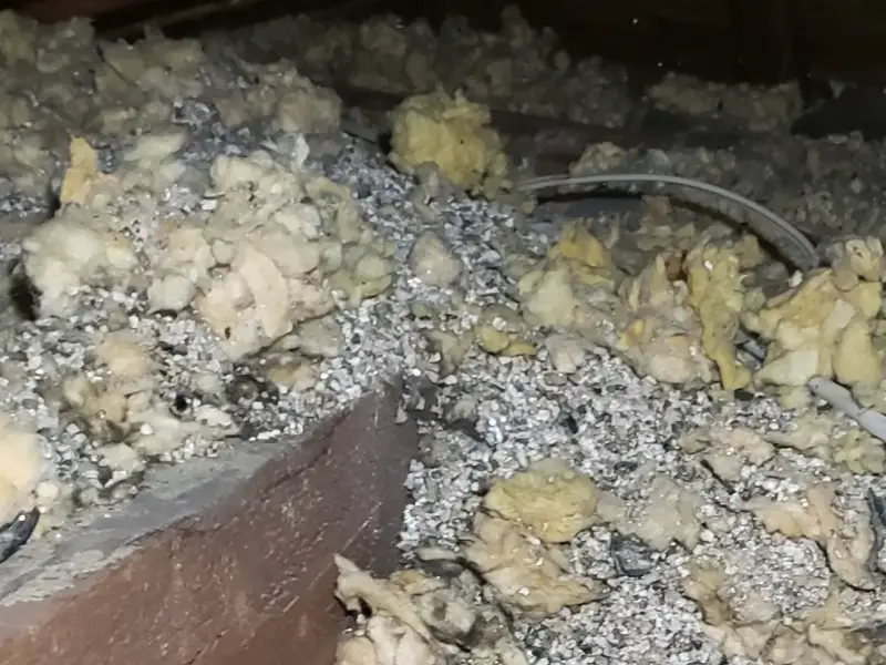 Retrait de Vermiculite en Abitibi-Témiscamingue 