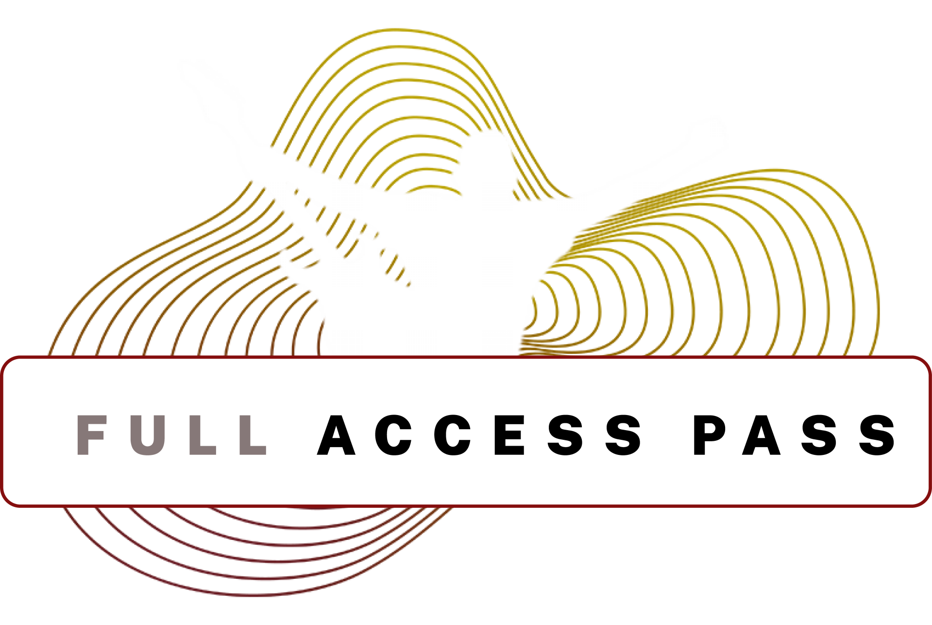 Rock Me Vienna Guitar Experience 2027 - 4 Days Full Access Pass