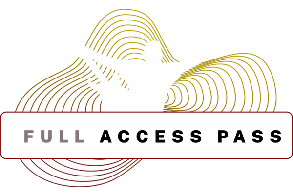 Rock Me Vienna Guitar Experience 2027 - 4 Days Full Access Pass