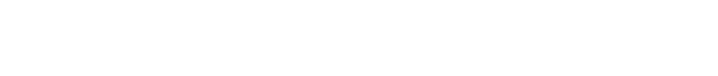 DirectiePlus
