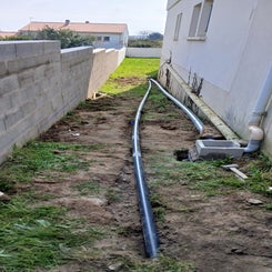 1000001200-standard.jpg