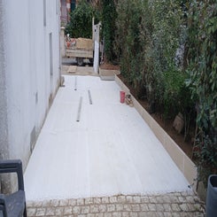 20250121_155051-standard-3m149g.jpg
