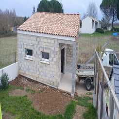 20250321_114454-standard.jpg