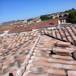 20250711_104108-standard.jpg