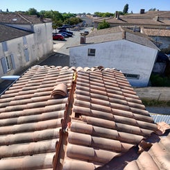 20250711_104157-standard-kpibex.jpg
