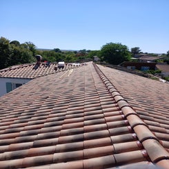 20250716_162046-standard.jpg
