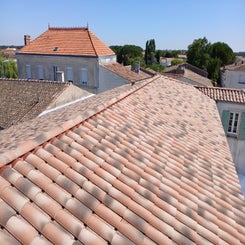 20250717_121049-standard.jpg