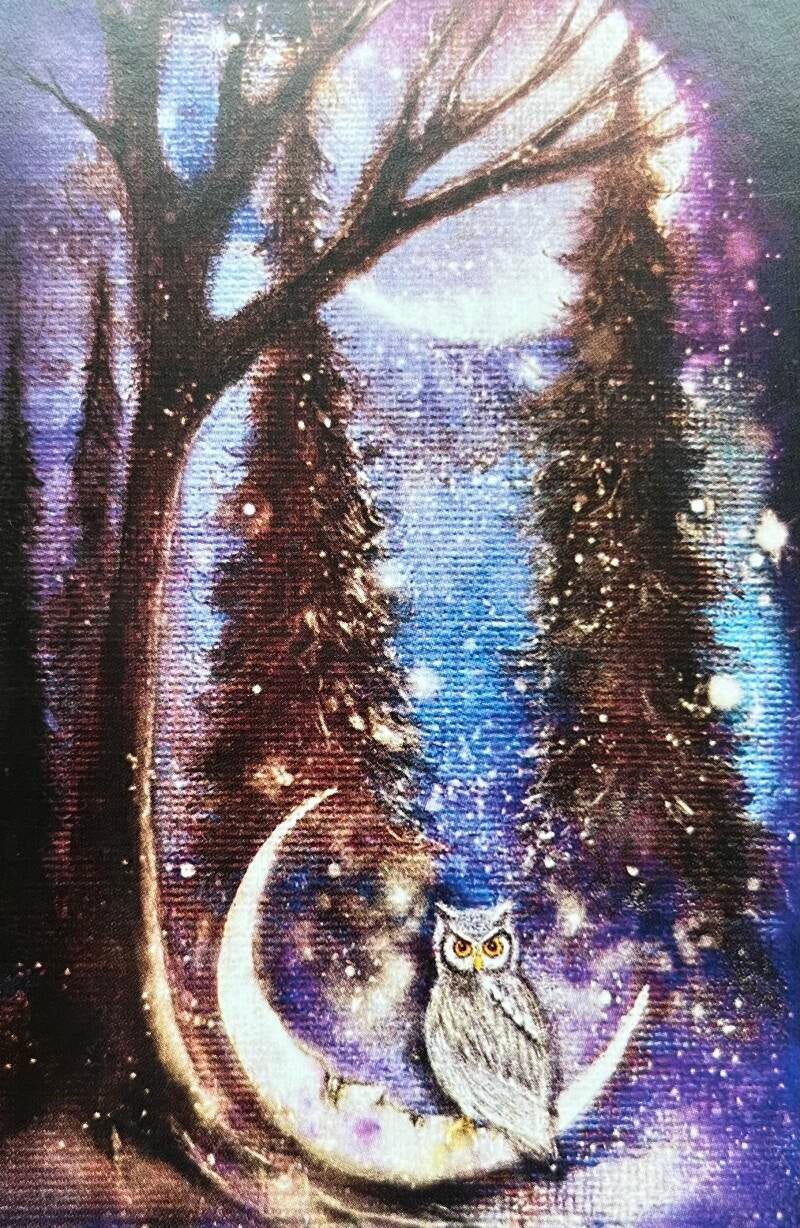 Uit Earthly Souls & Spirits Moon Oracle by Terri Foss