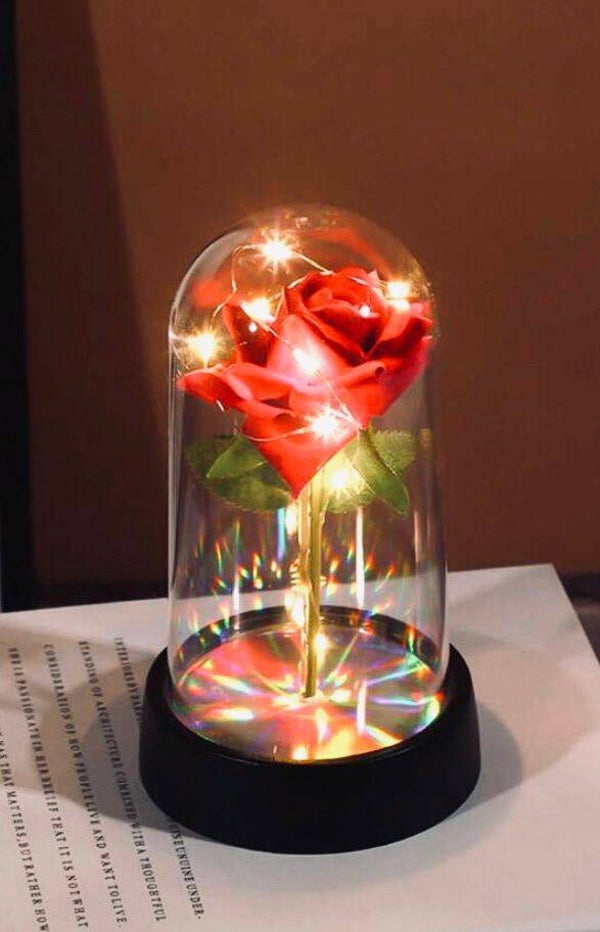 Roos in glas met licht