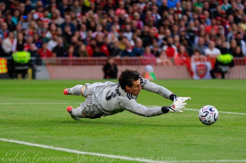 arsenal-v-real-betis-18-of-62-standard.jpg