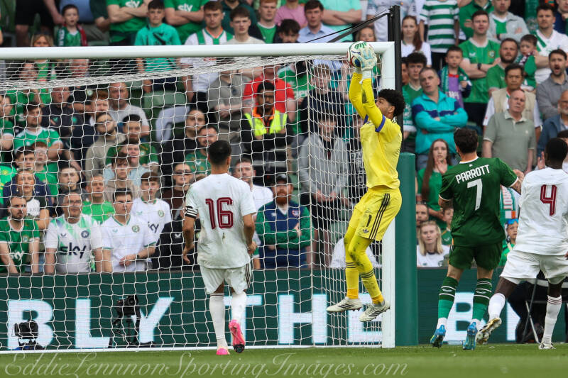 ireland-v-qatar-14-of-52-standard.jpg