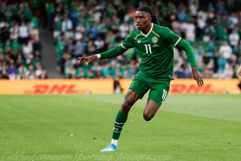 ireland-v-qatar-41-of-52-standard.jpg