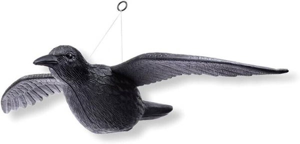 Schramm® Fliegende Krähe schwarz Taubenschreck