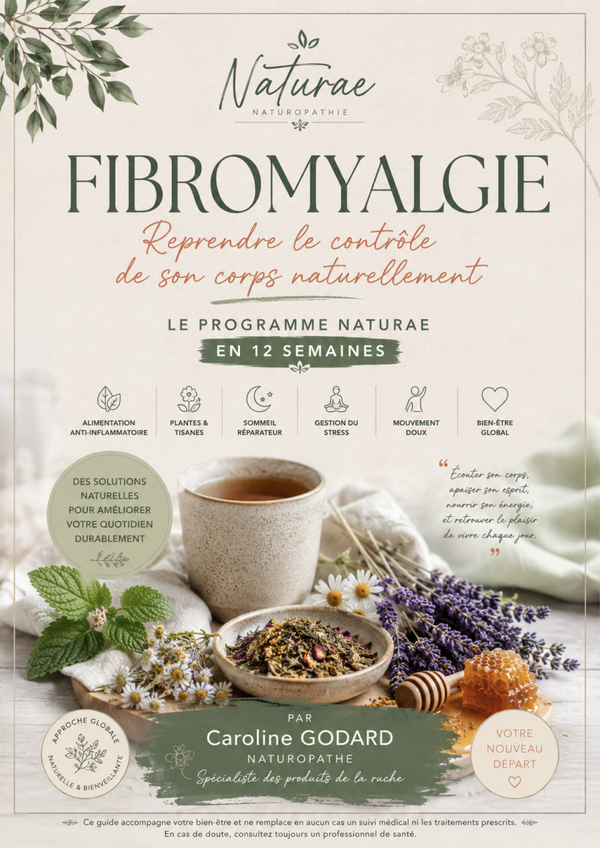 EBOOK BIEN ETRE ET VITALITE