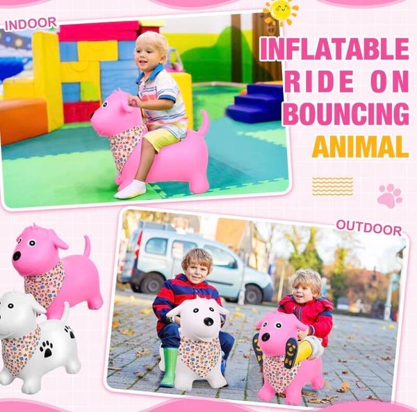 Bounce animals