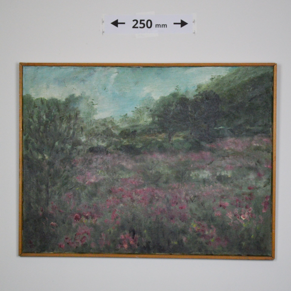 Bloeiend landschap