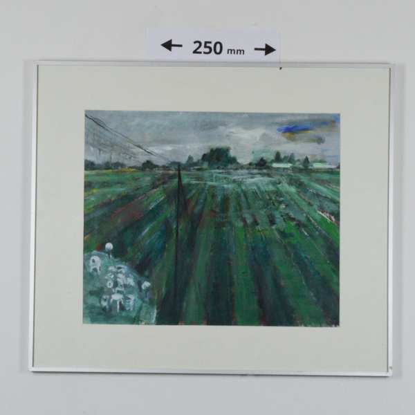 Landschap