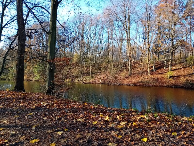 park, Antwerpen, wandelen, natuur, herfst, bomen, vijver