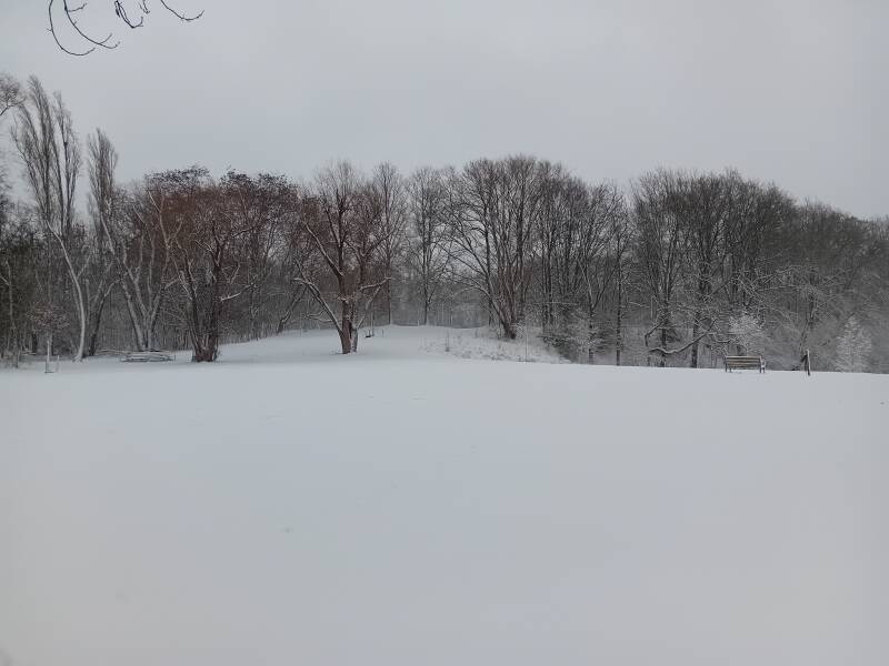 winter, Brilschanspark, park, Antwerpen, sneeuw