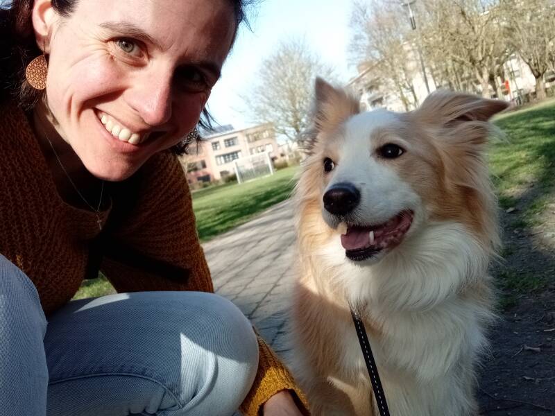huisdier, hond, familie