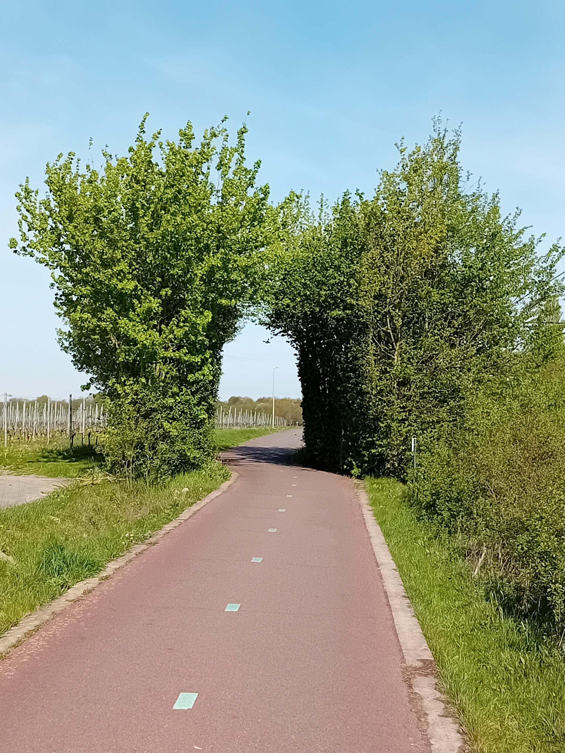 fietsostrade, F11, Lier, Boechout