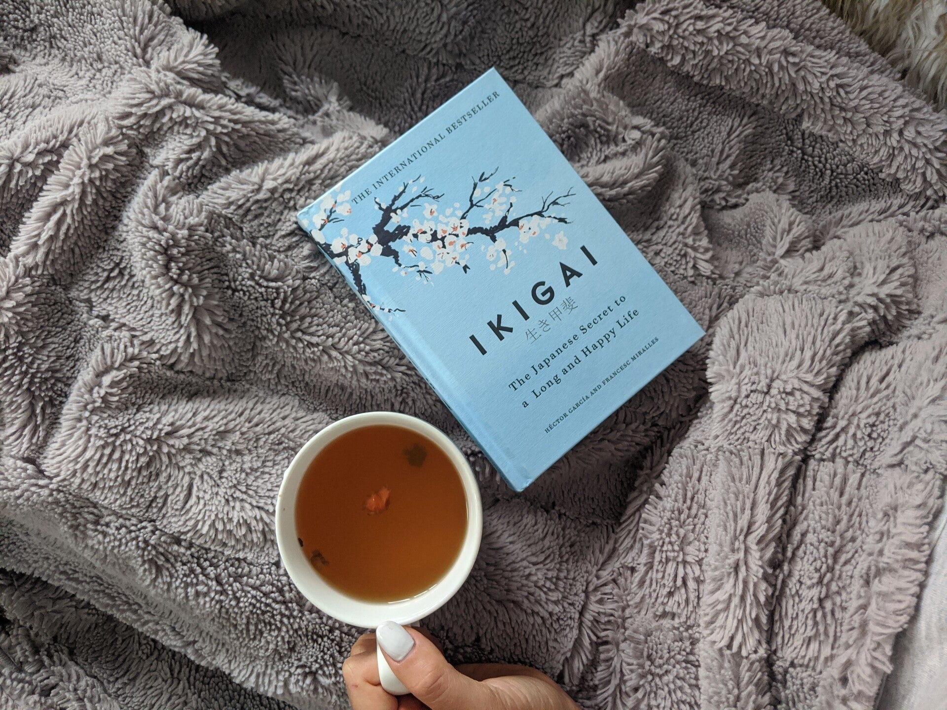 Ikigai, PTSS, diagnose, trauma, flow, creativiteit