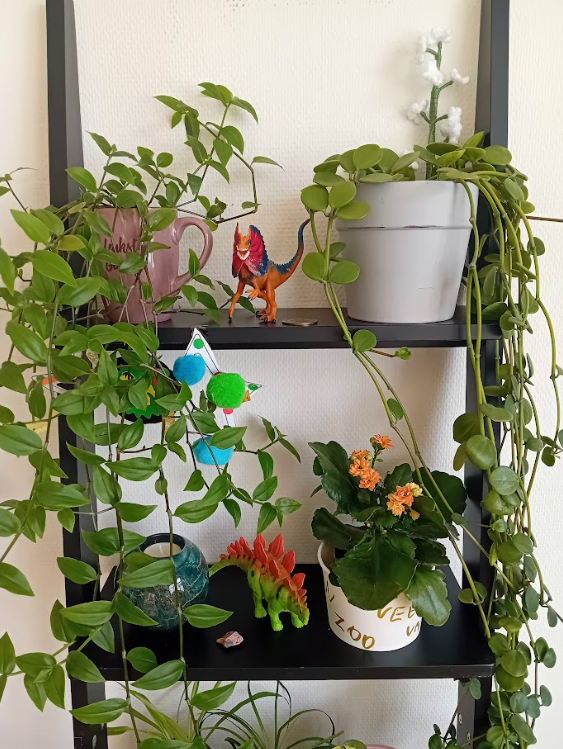 planten, dino's, familie, kinderen