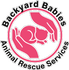 Backyard Babies Animal Rescue Services