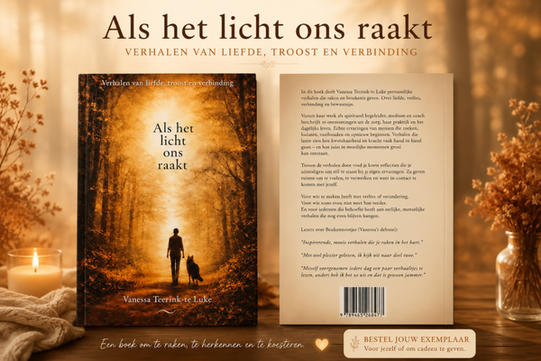 Boek ' Als het licht ons raakt '