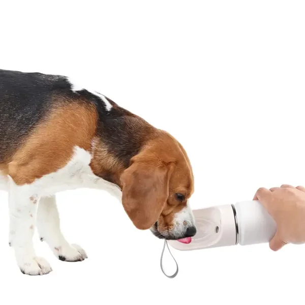 AFP 2 In 1 Stainless Drinking Bottle