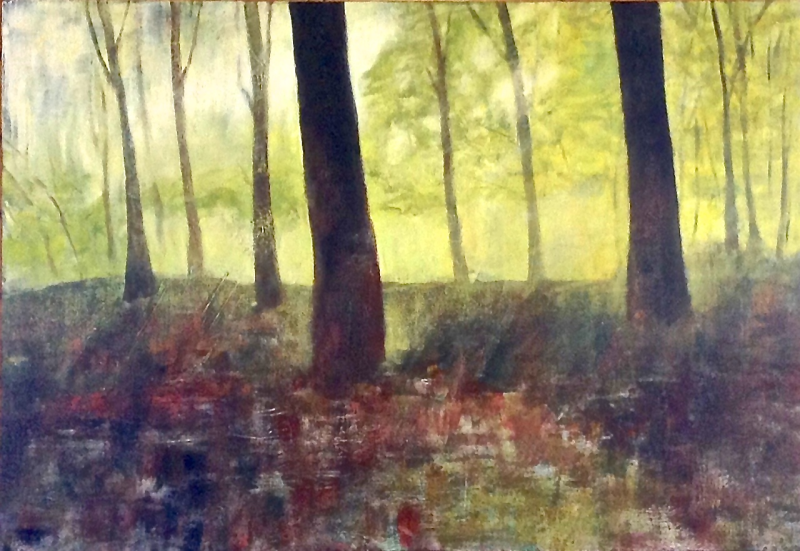 vroege ochtendlicht, veluwe, bos