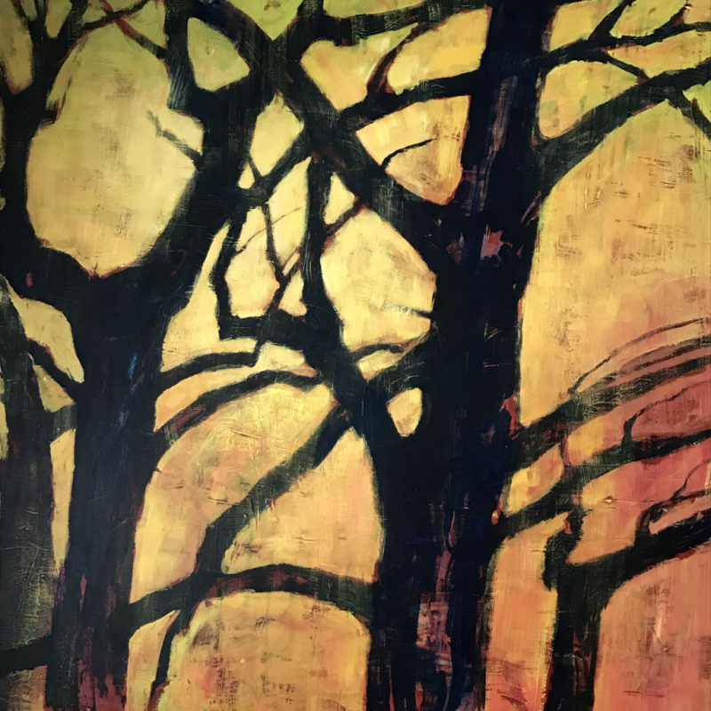 zonlicht door de takken