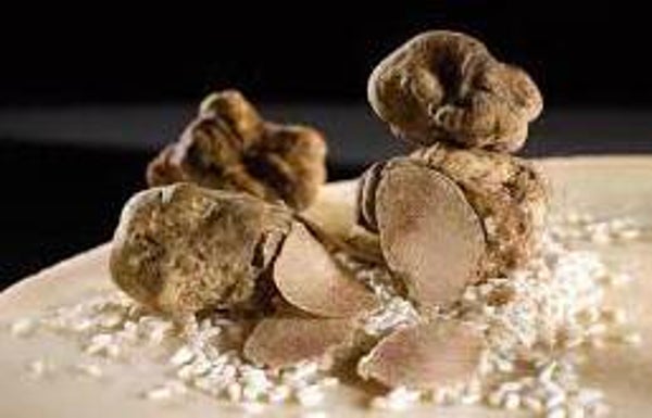 Exotic Northern Italian Truffle Infused First Harvest Select Extra Virgin