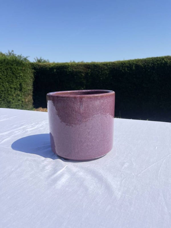 Purple Javea