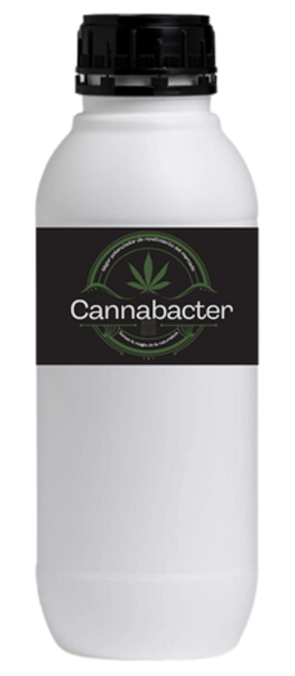 Cannabacter Potenciador de Rendimiento 250ml.