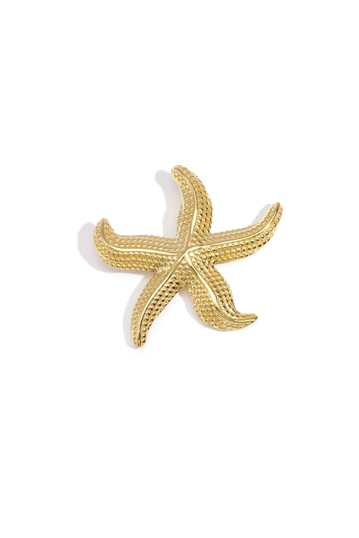 Zeester met structuur broche Goud