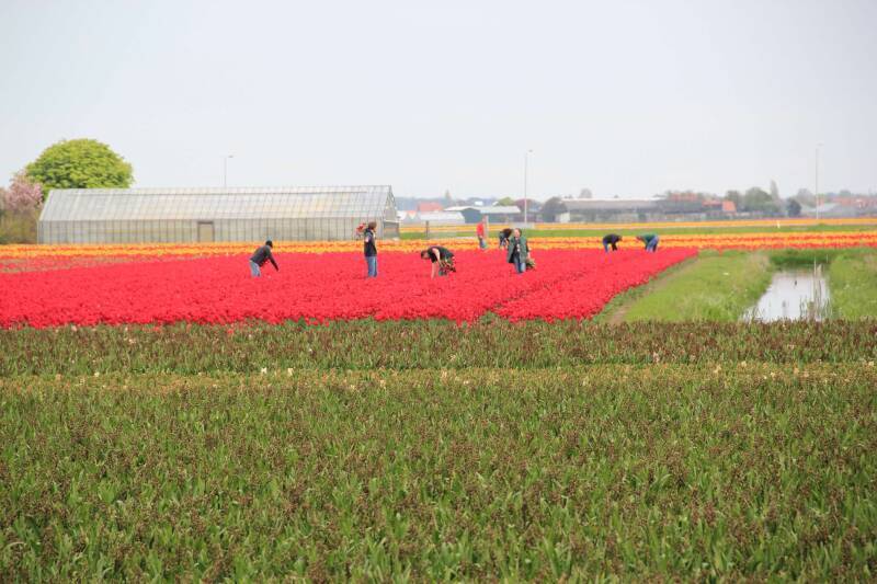 image-standard-o2g7cq.jpg