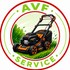 AVF Service